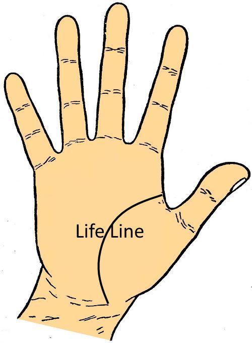 Life Line - Palminstry